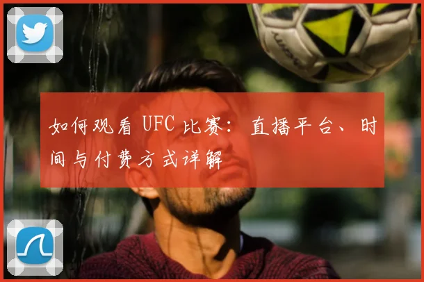 如何观看 UFC 比赛:直播平台、时间与付费方式详解